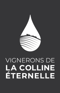 Réalisation de l'identité visuelle des Vignerons de la Colline Éternelle